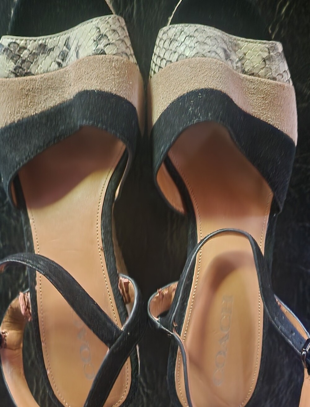 Coach Farren Suede Snake Black Chalk Platform Sandals Wedges Size 10*
